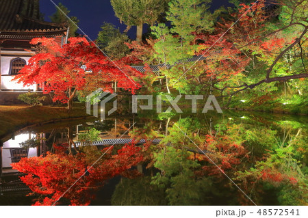 【京都府】高台寺月真院の紅葉ライトアップ 48572541