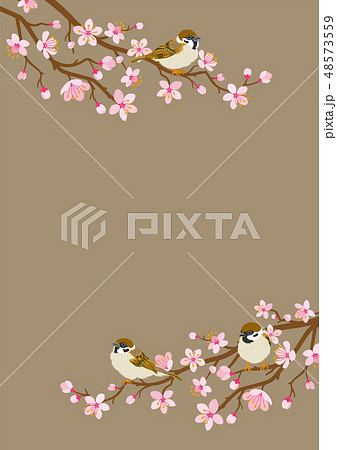 桜の枝とスズメ　上下フレーム 48573559