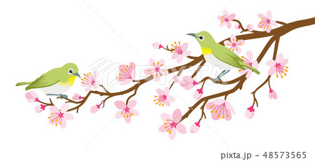 桜の枝にとまるメジロ 二羽 デザイン素材のイラスト素材 桜の枝にとまるメジロ 二羽 デザイン素材のイラスト素材