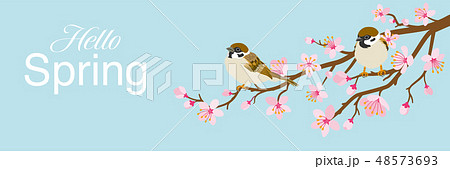 桜の枝にとまる二羽のスズメ 文字入り Hello Spring 青空背景のイラスト素材