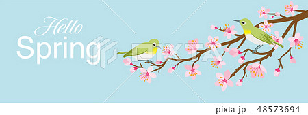 桜の枝にとまる二羽のメジロ 文字入り Hello Spring 青空背景のイラスト素材