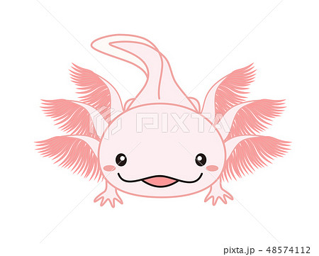 ウーパールーパー Axolotl ピンクのイラスト素材