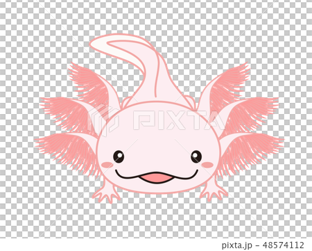 Wooper Lapa Axolotl Pink 48574112
