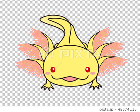 Wooper looper Axolotl Golden Albino 48574113
