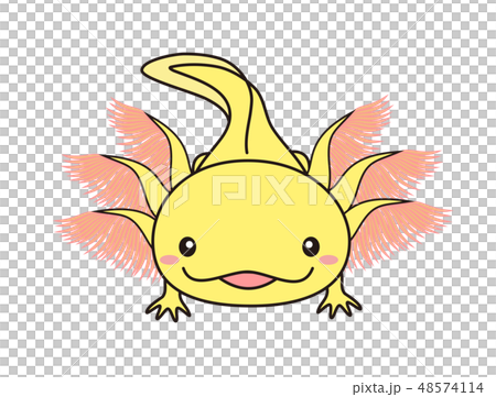 Wooper looper Axolotl黃色 Wooper looper Axolotl黃色 48574114