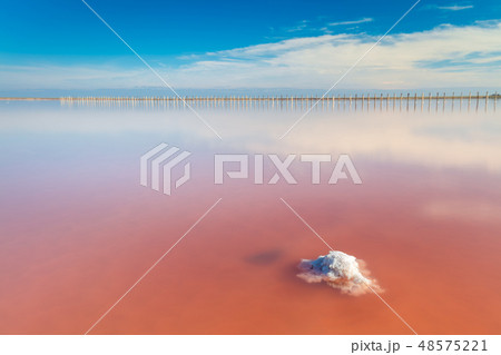Real pink color salt lake and deep blue sky 48575221