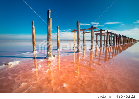 Amazing pink color salt lake and sky landscape Amazing pink color salt lake and sky landscape 48575222