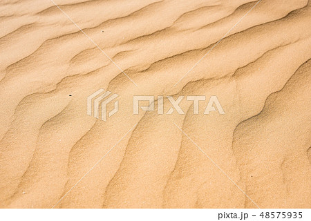 Close up sand texture of sand dune for background 48575935
