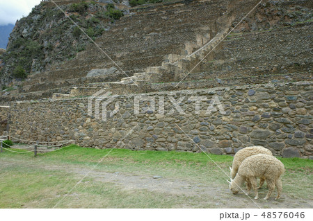 ペルー オリャンタイタンボ ペルー オリャンタイタンボ 48576046