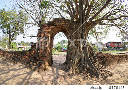 タイ国アユタヤの寺院「ワット・プラガーム」敷地内から撮影した入口 48576143