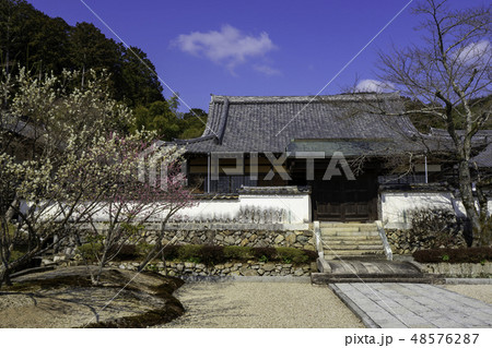 山口　常栄寺　雪舟庭　本堂 48576287