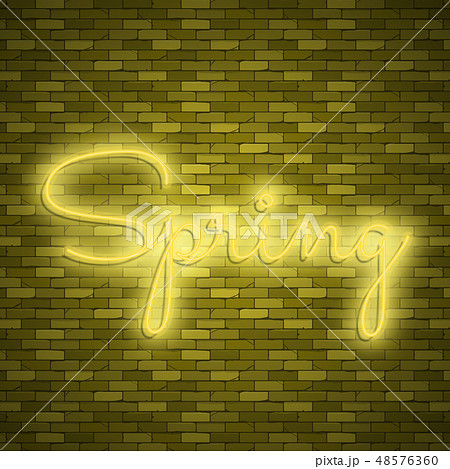 Neon banner spring. Stock vector. Poster for spring party. Neon banner spring. Stock vector. Poster for spring party. 48576360