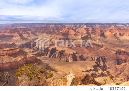 South rim of Grand Canyon 48577192