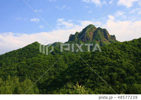 初夏の定山渓天狗岳 48577239