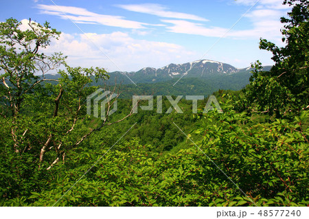 定山渓天狗岳登山道から見る初夏の余市岳 48577240