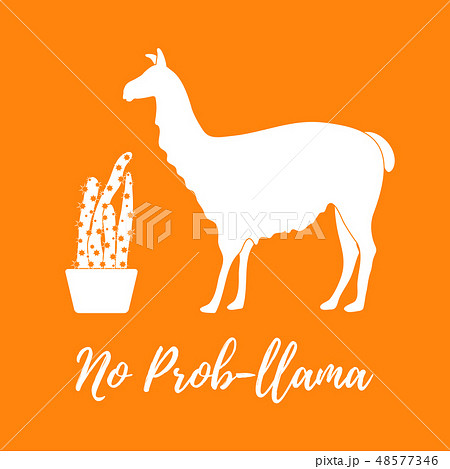 Vector illustration with llama and cactus Vector illustration with llama and cactus 48577346