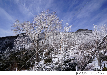木賊山の霧氷 木賊山の霧氷 48577427