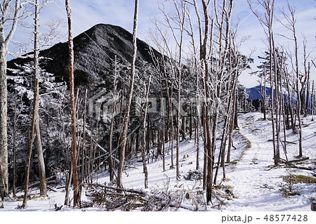 破風山鞍部の枯木帯 48577428