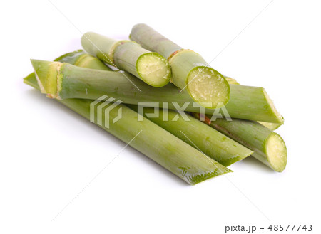 Sugar cane isolated on white background Sugar cane isolated on white background 48577743