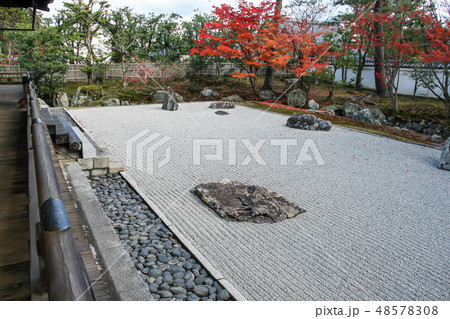 相国寺開山堂、龍淵水の庭に紅葉 相国寺開山堂、龍淵水の庭に紅葉 48578308