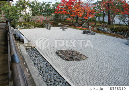 相国寺開山堂、龍淵水の庭に紅葉 48578310