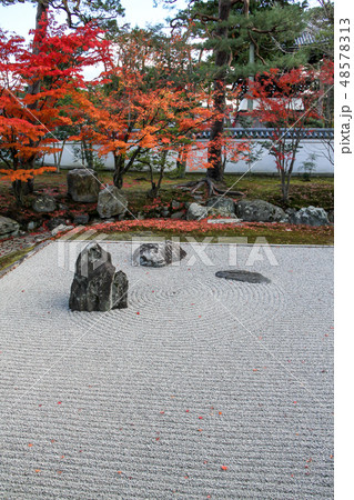 相国寺開山堂、龍淵水の庭に紅葉、三尊石 相国寺開山堂、龍淵水の庭に紅葉、三尊石 48578313