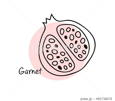 Pomegranate fruit. Line art graphic. Restaurant template. Graphic illustration. Pomegranate fruit. Line art graphic. Restaurant template. Graphic illustration. 48578870