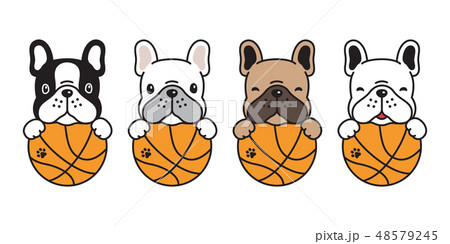 Dog Vector French Bulldog Basketball Sport Ballのイラスト素材