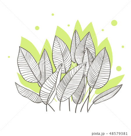 Tropical palm leaves. Jungle round wedding invitation. Design template. 48579381