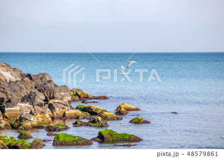 Pomorie, Bulgaria - March 02, 2019 48579861