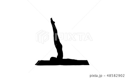 Silhouette Beautiful sporty girl doing yoga exercises for abs strength, Supported Shoulderstand Silhouette Beautiful sporty girl doing yoga exercises for abs strength, Supported Shoulderstand 48582902
