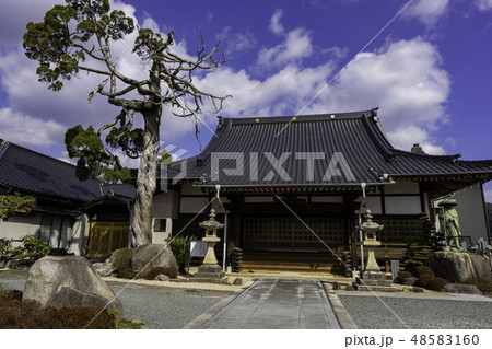 山口 山口市駅通り 正福寺 本堂 山口 山口市駅通り 正福寺 本堂 48583160