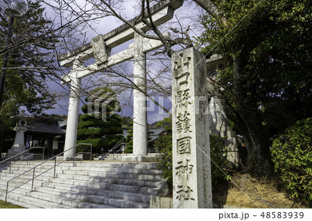 山口　山口県護国神社　鳥居 48583939