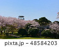 公園の桜 48584203