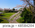公園の桜 48584204