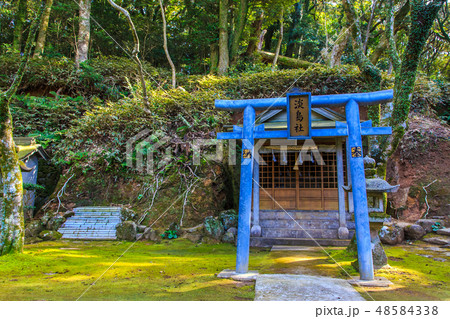 金毘羅神社(長崎九社) 【長崎市】 金毘羅神社(長崎九社) 【長崎市】 48584338