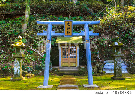 金毘羅神社（長崎九社）　【長崎市】 48584339