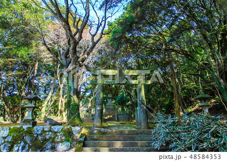 金毘羅神社（長崎九社）　【長崎市】 48584353