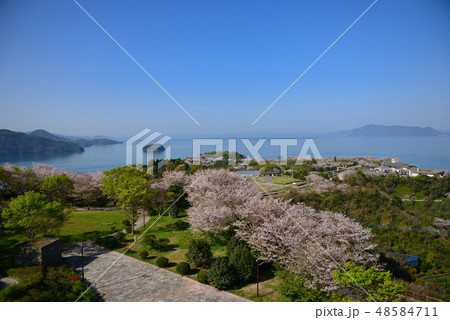 御立岬公園 48584711