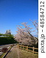 桜 48584712