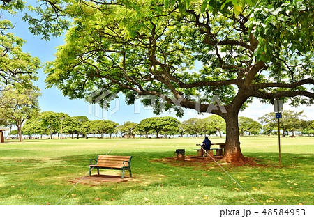 ハワイの休日 48584953