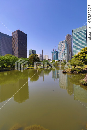 旧芝離宮恩賜庭園 48585228