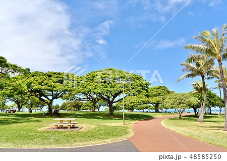 ハワイの休日 ハワイの休日 48585250