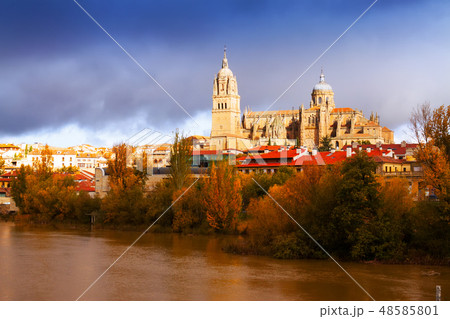 Salamanca Cathedral in autumn. Spain 48585801