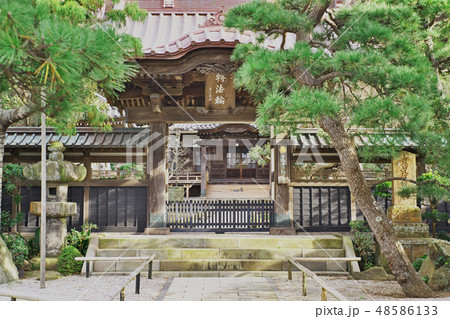 本蓮寺（藤沢市） 48586133