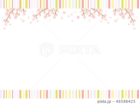 桜 ストライプ背景 桜 ストライプ背景 48586425
