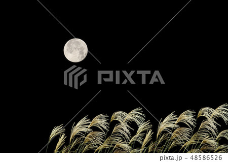 Full moon on the dark night 48586526