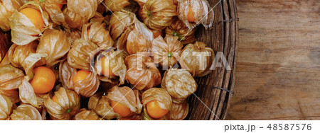 Close up of cape gooseberry Close up of cape gooseberry 48587576