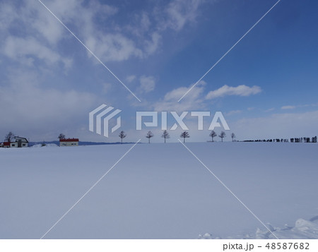 冬のメルヘンの丘 冬のメルヘンの丘 48587682
