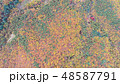 紅葉 山 秋 48587791